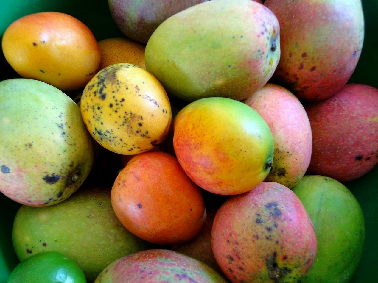 Smoothies para desayunar